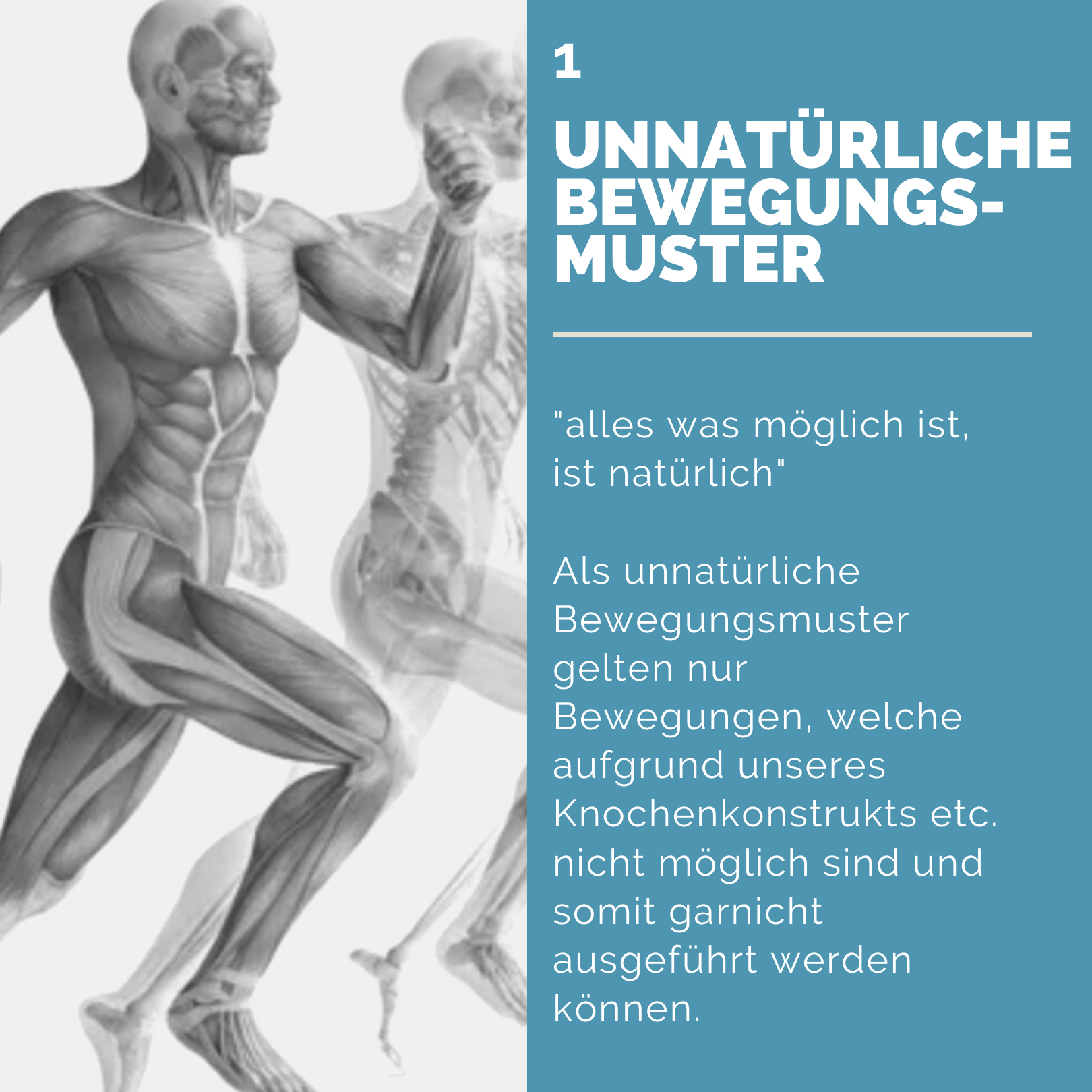 Read more about the article „unnatürliche Bewegungen“?