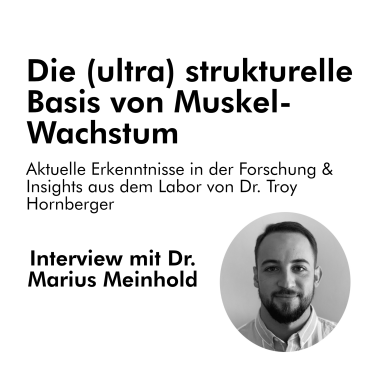 Interviews und Vorlesungen für HPMarius